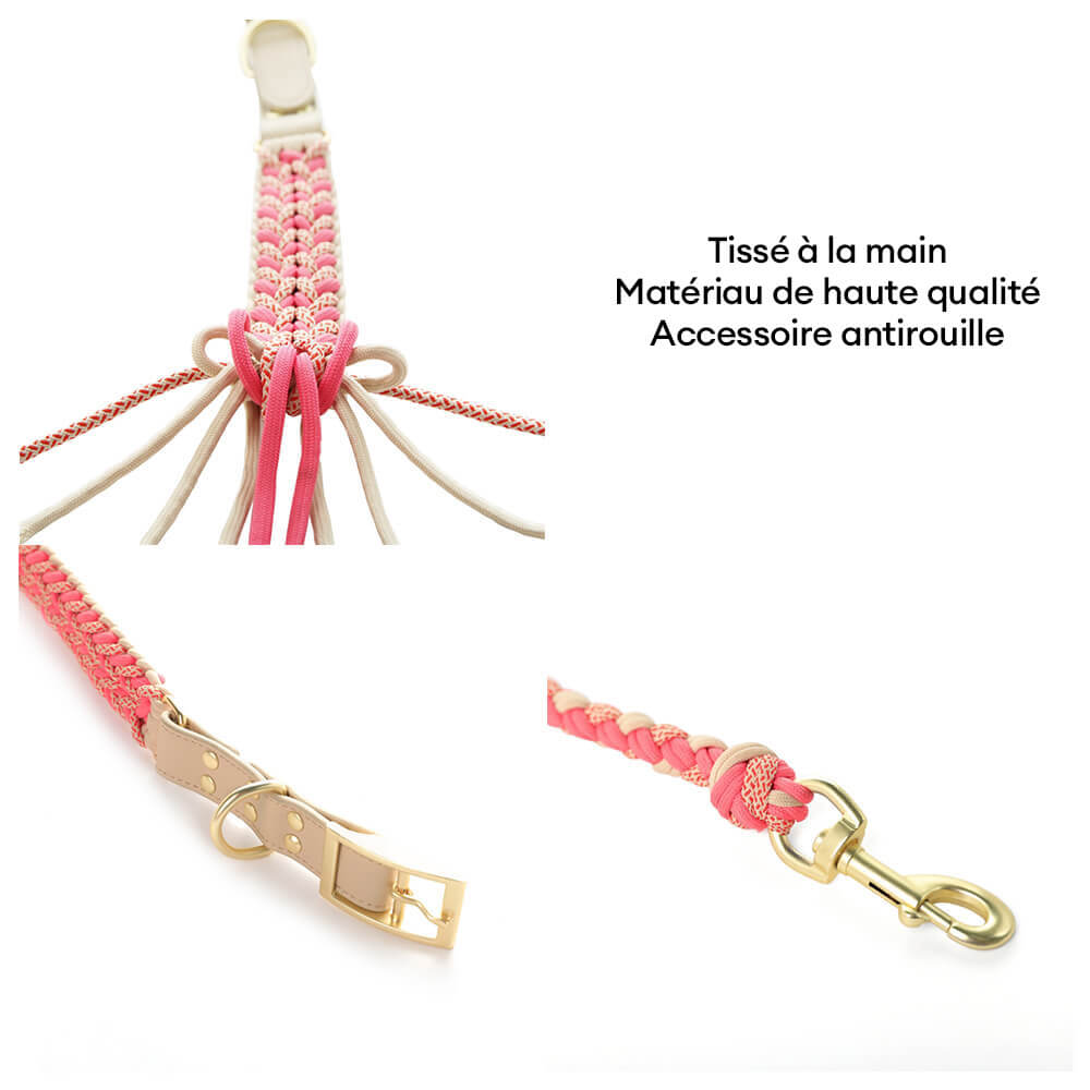 Collier et Laisse Multifonctionnels en Cuir Tressé à Main