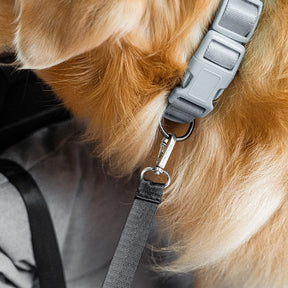 Siège Auto Sécurisé pour Chiens Moyens et Grands - Style Traversin pour Banquette Arrière