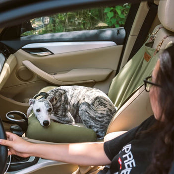 Coussin de voyage pour la sécurité arrière de siège unique pour chien de grande taille – Lit de voiture style échiquier