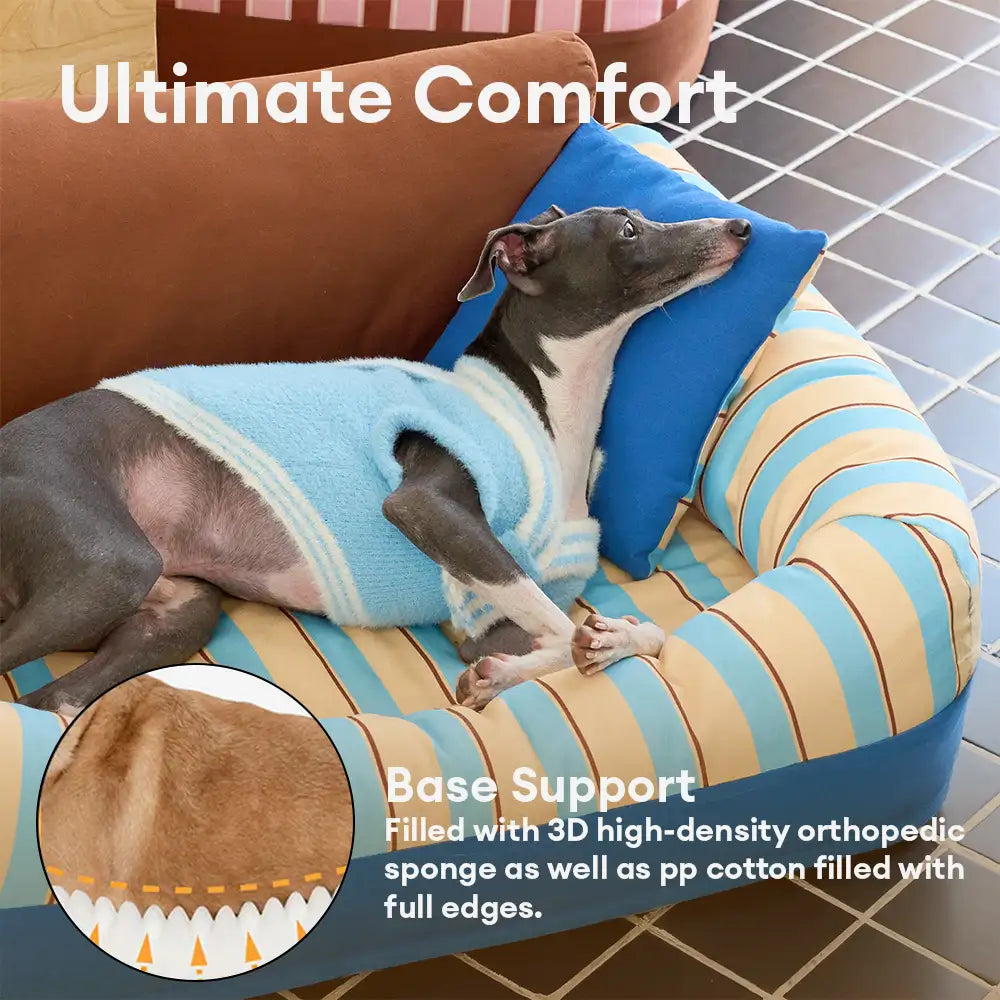 Canapé orthopédique pour chien rayé tendance - Canape confortable