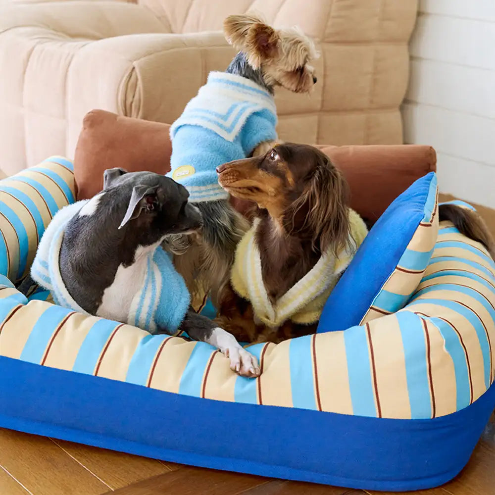 Canapé orthopédique pour chien rayé tendance - Canape confortable