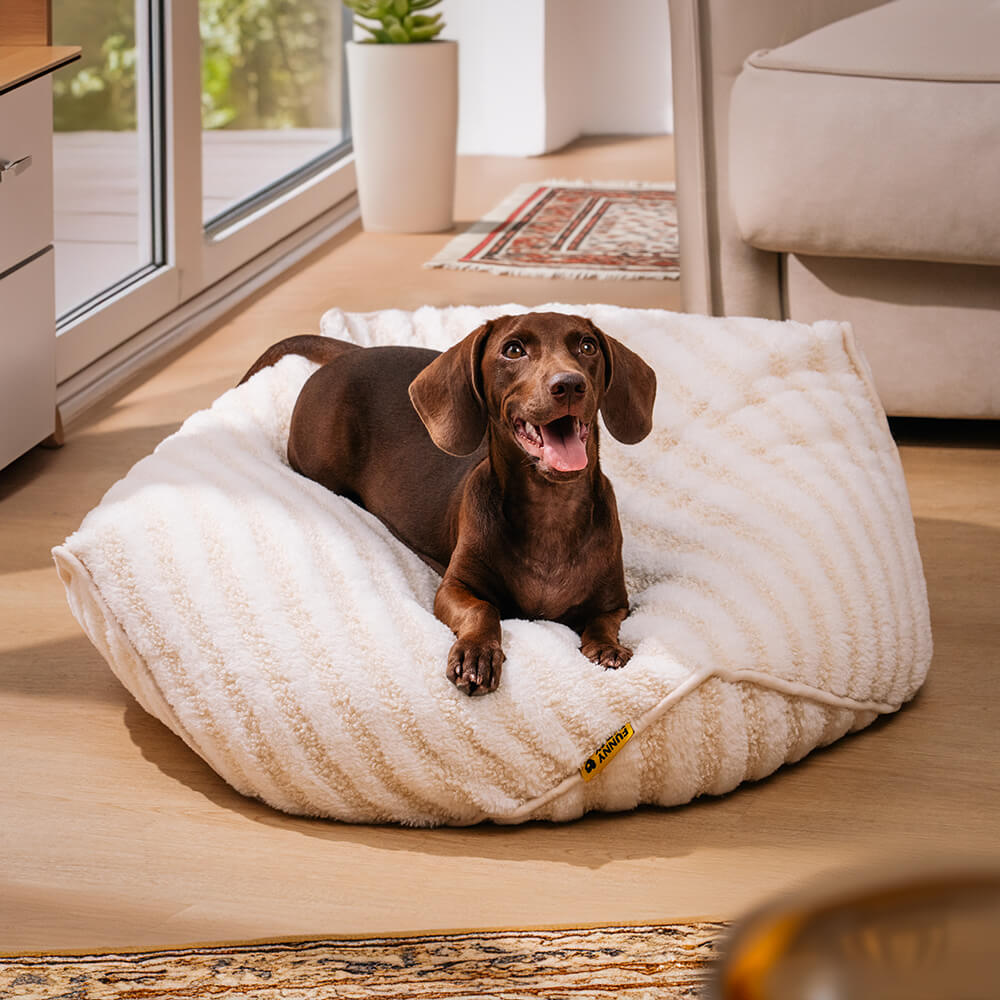 Fauteuil pour Animaux en Forme de Haricot à Motif Rayé Tendance