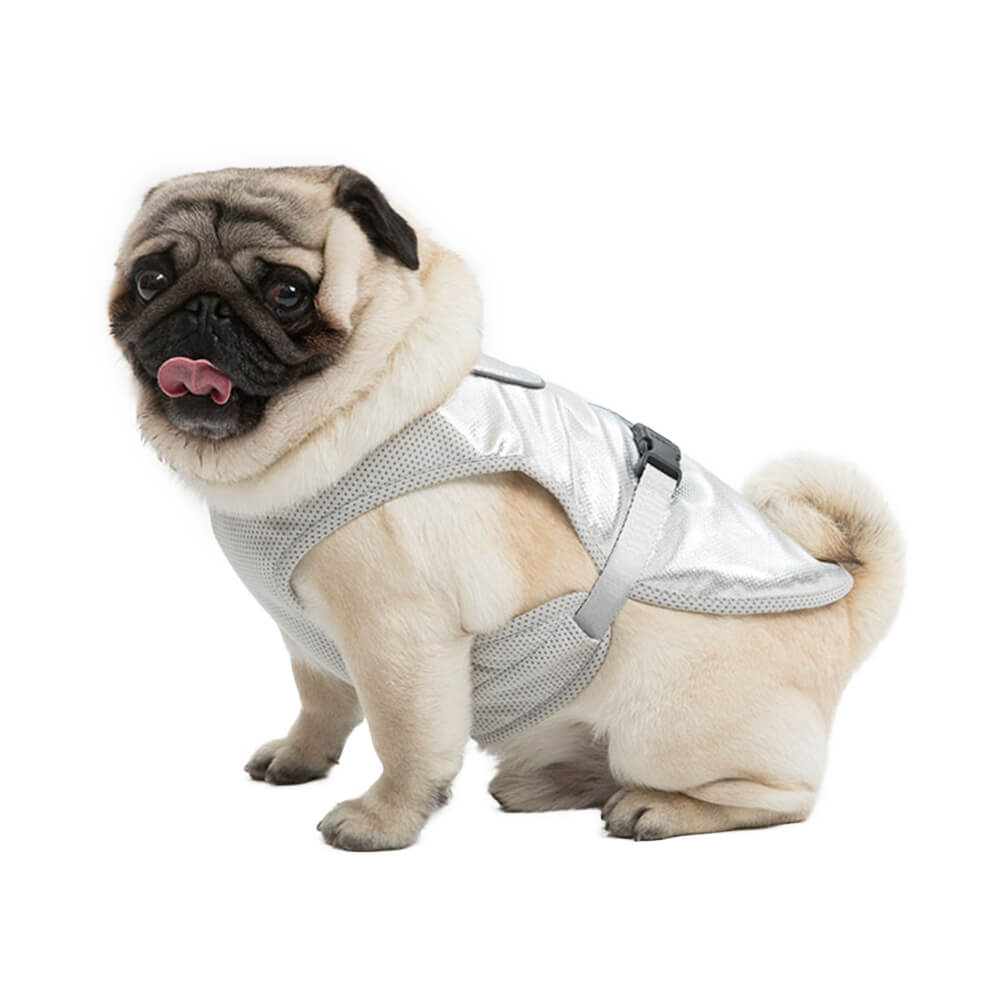 Gilet Refroidissant Léger Protection UV Pour Chien