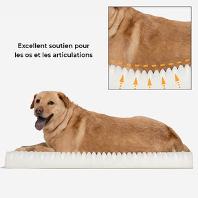 Lit orthopédique extra-large en peluche pour humain et chien