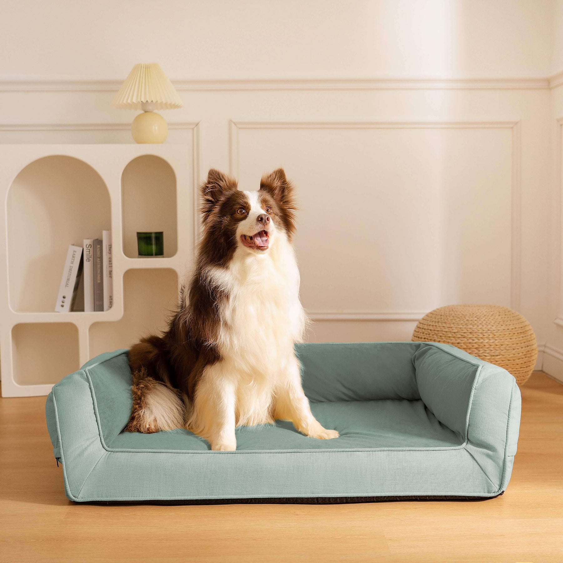 Lits orthopédiques extra larges pour chien avec couverture – Grands lits imperméables Lits orthopédiques extra larges pour chien avec couverture – Grands lits imperméables
