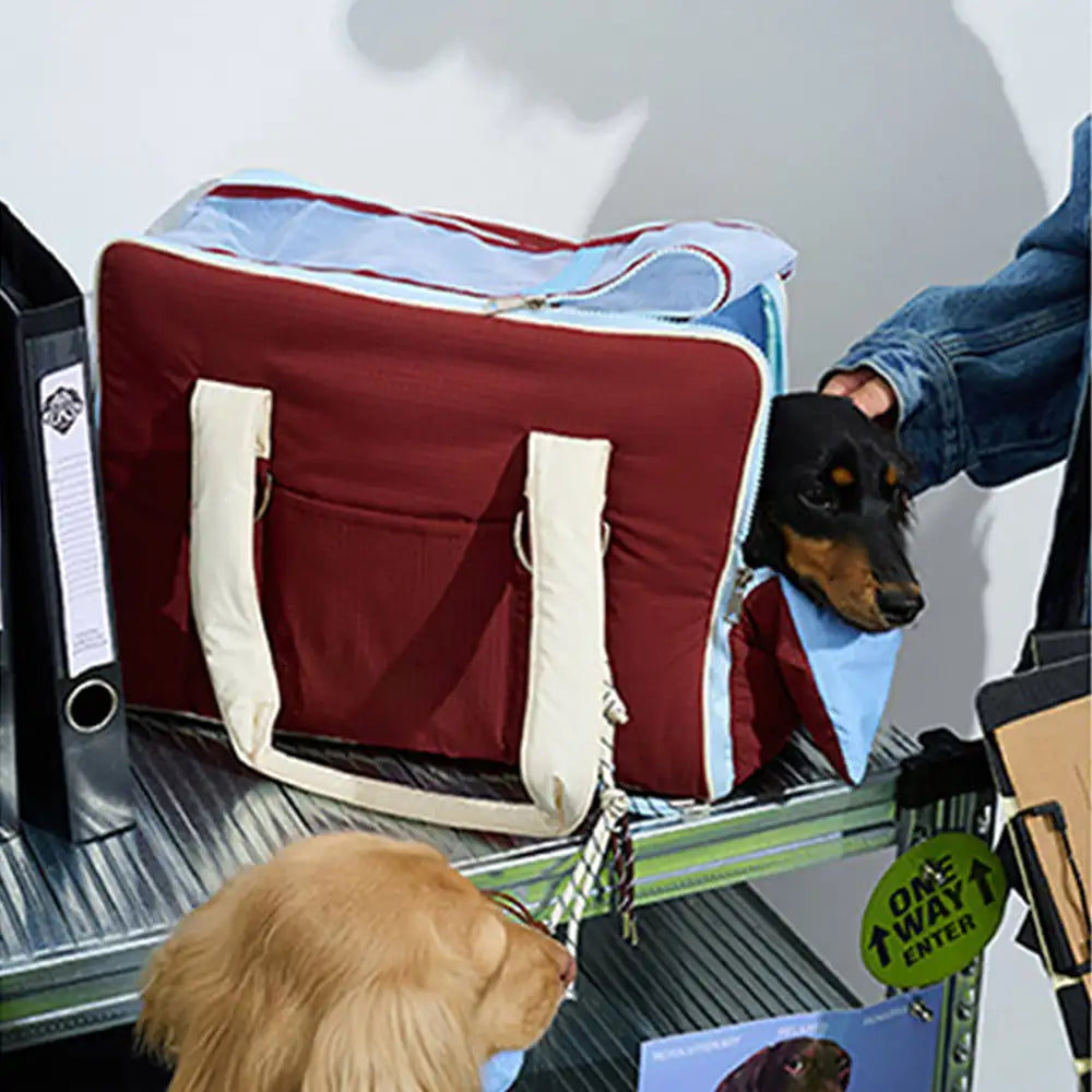 Sac de transport pour animaux de compagnie multifonctionnel en blocs de couleurs pour les navetteurs urbains