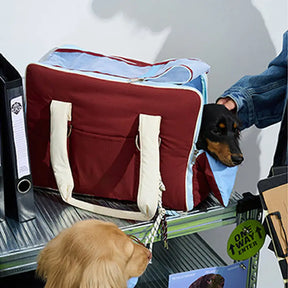 Sac de transport pour animaux de compagnie multifonctionnel en blocs de couleurs pour les navetteurs urbains