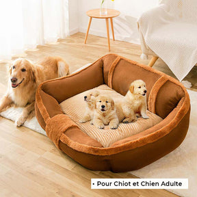 Grand canapé-lit vintage confortable et apaisant pour chien