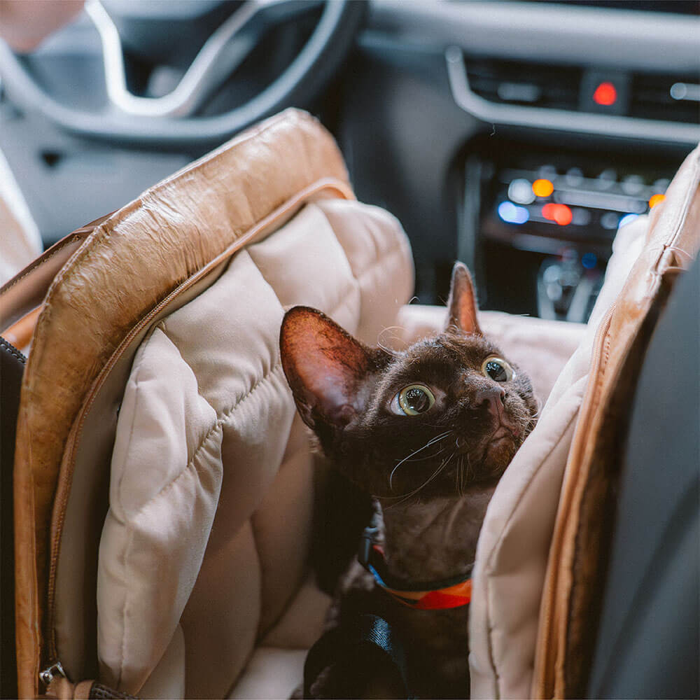 Sac de voyage pour chat multifonctionnel et écologique Vogue - City Roamer