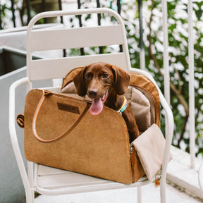 Sac de Voyage Polyvalent et Écologique pour Animaux de Compagnie - City Roamer