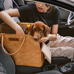 Sac de Voyage Polyvalent et Écologique pour Animaux de Compagnie - City Roamer