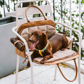 Sac de Voyage Polyvalent et Écologique pour Animaux de Compagnie - City Roamer