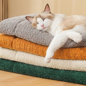 Tapis antidérapant en peluche pour animaux de compagnie chaud et confortable