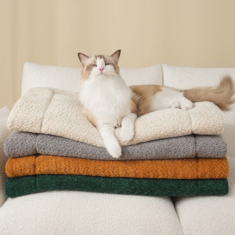 Tapis antidérapant en peluche pour animaux de compagnie chaud et confortable