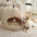 Caverne pour chat en peluche douillette et chaleureuse, lit pour chien