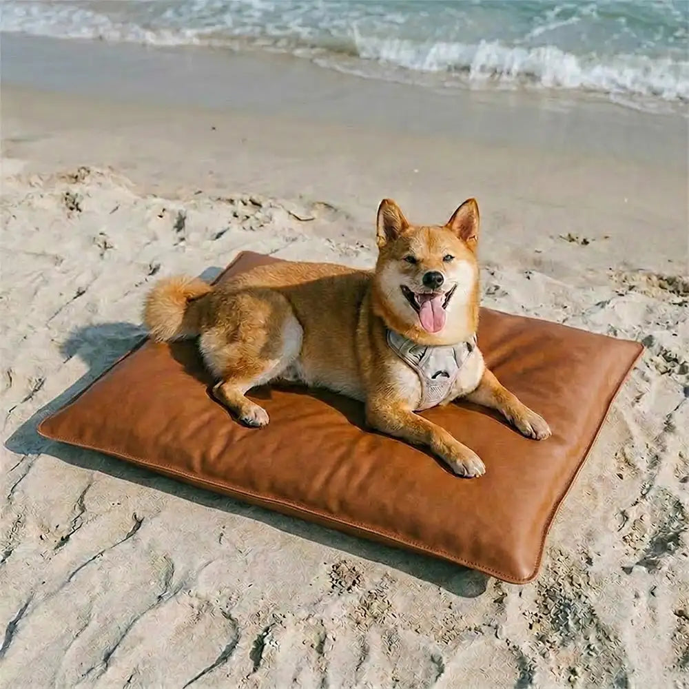 Tapis pour chien double face, imperméable, résistant aux rayures et lavable.