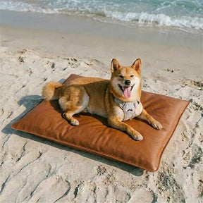Tapis pour chien double face, imperméable, résistant aux rayures et lavable.
