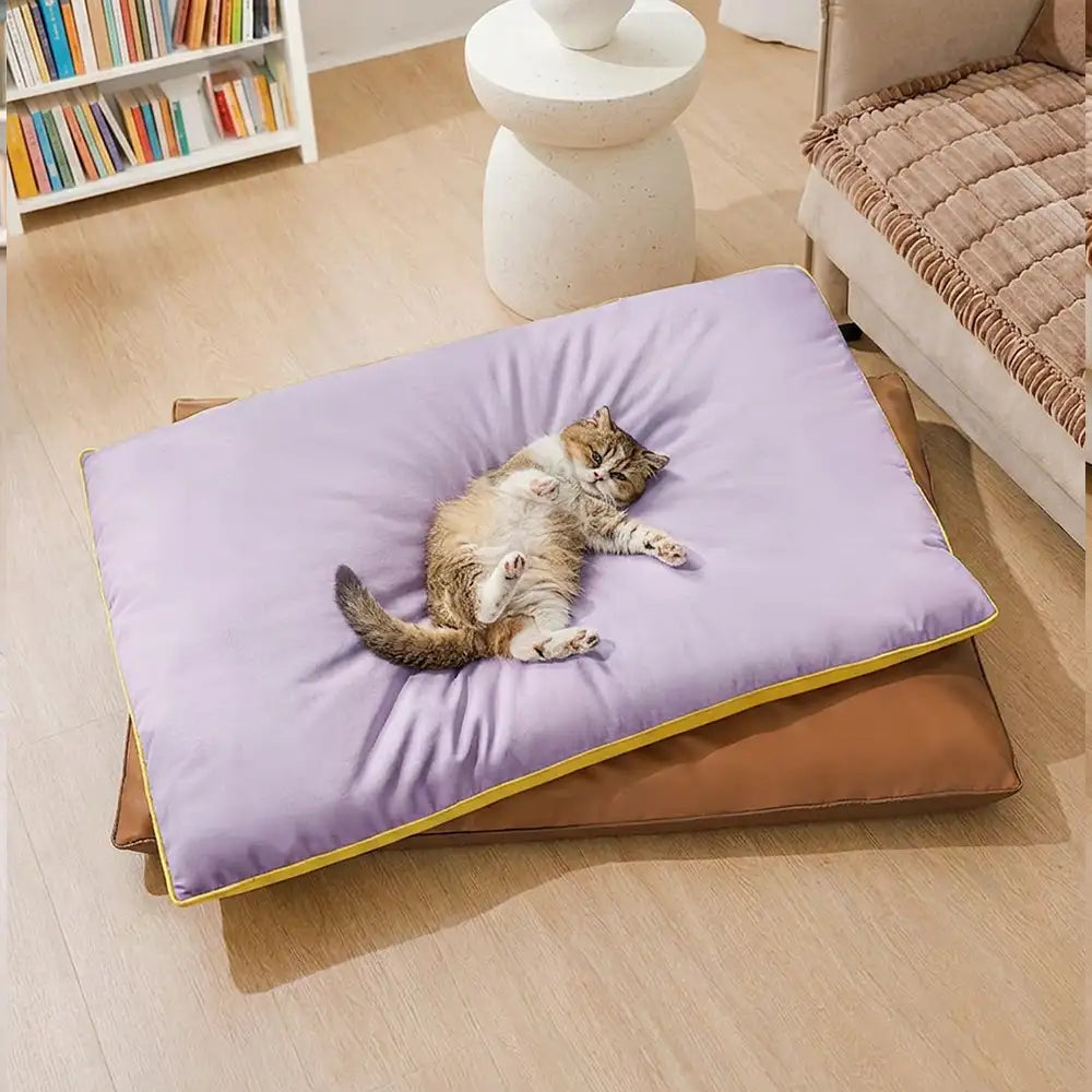 Tapis pour chien double face, imperméable, résistant aux rayures et lavable.
