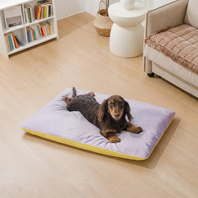 Tapis pour chien double face, imperméable, résistant aux rayures et lavable.