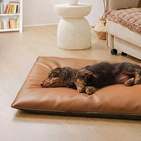 Tapis pour chien double face, imperméable, résistant aux rayures et lavable.