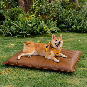 Tapis pour chien double face, imperméable, résistant aux rayures et lavable.