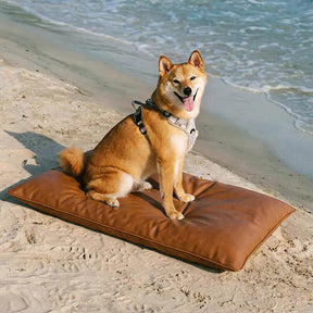 Tapis pour chien double face, imperméable, résistant aux rayures et lavable.