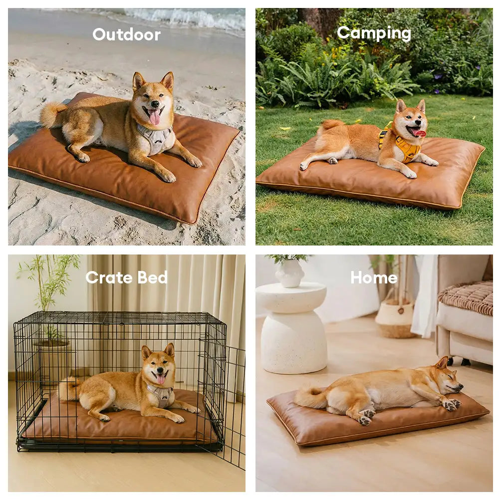 Tapis pour chien double face, imperméable, résistant aux rayures et lavable.