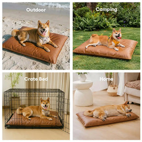Tapis pour chien double face, imperméable, résistant aux rayures et lavable.