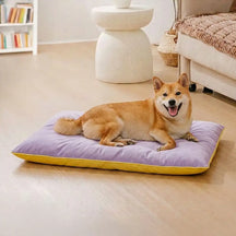 Tapis pour chien double face, imperméable, résistant aux rayures et lavable.
