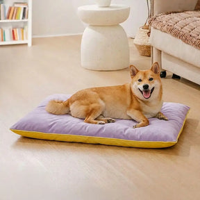 Tapis pour chien double face, imperméable, résistant aux rayures et lavable.