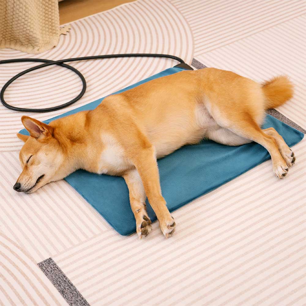 Coussin chauffant électrique pour animaux de compagnie imperméable résistant aux morsures avec chaleur sûre
