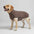 Manteau coupe-vent et imperméable pour chien – Idéal pour les grands chiens