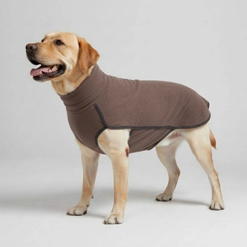 Manteau coupe-vent et imperméable pour chien – Idéal pour les grands chiens