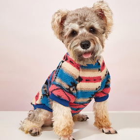 Pull rayé coloré pour chien – Vêtements d'hiver confortables et tendance