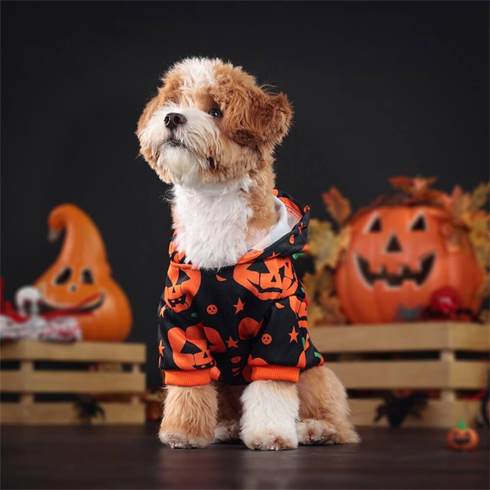 Sweat à Capuche Imprimé Citrouille Halloween pour Animaux