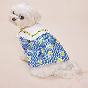 Robe pour Chien à Carreaux Vichy Fleuris