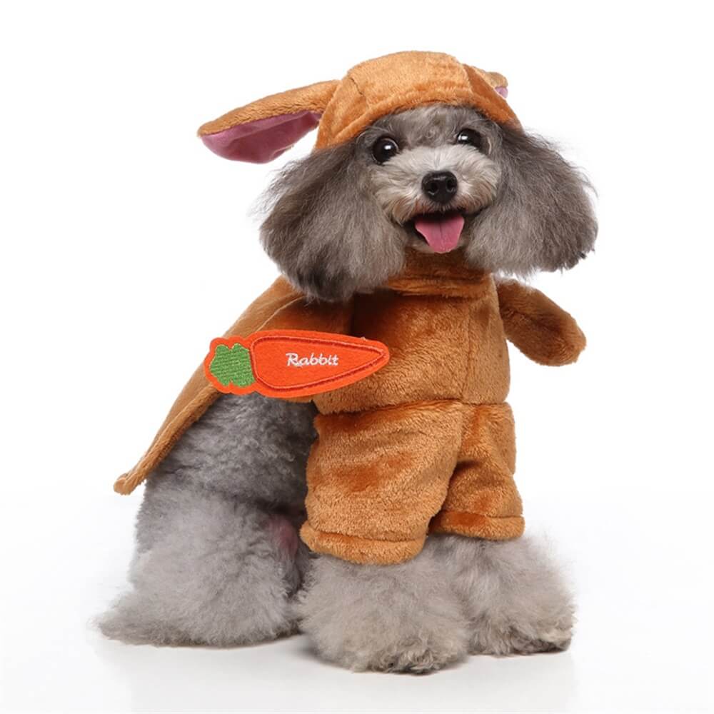 Costumes Amusants pour Chiens pour Halloween Cosplay Tenues Drôles et Adorables pour Animaux de Compagnie