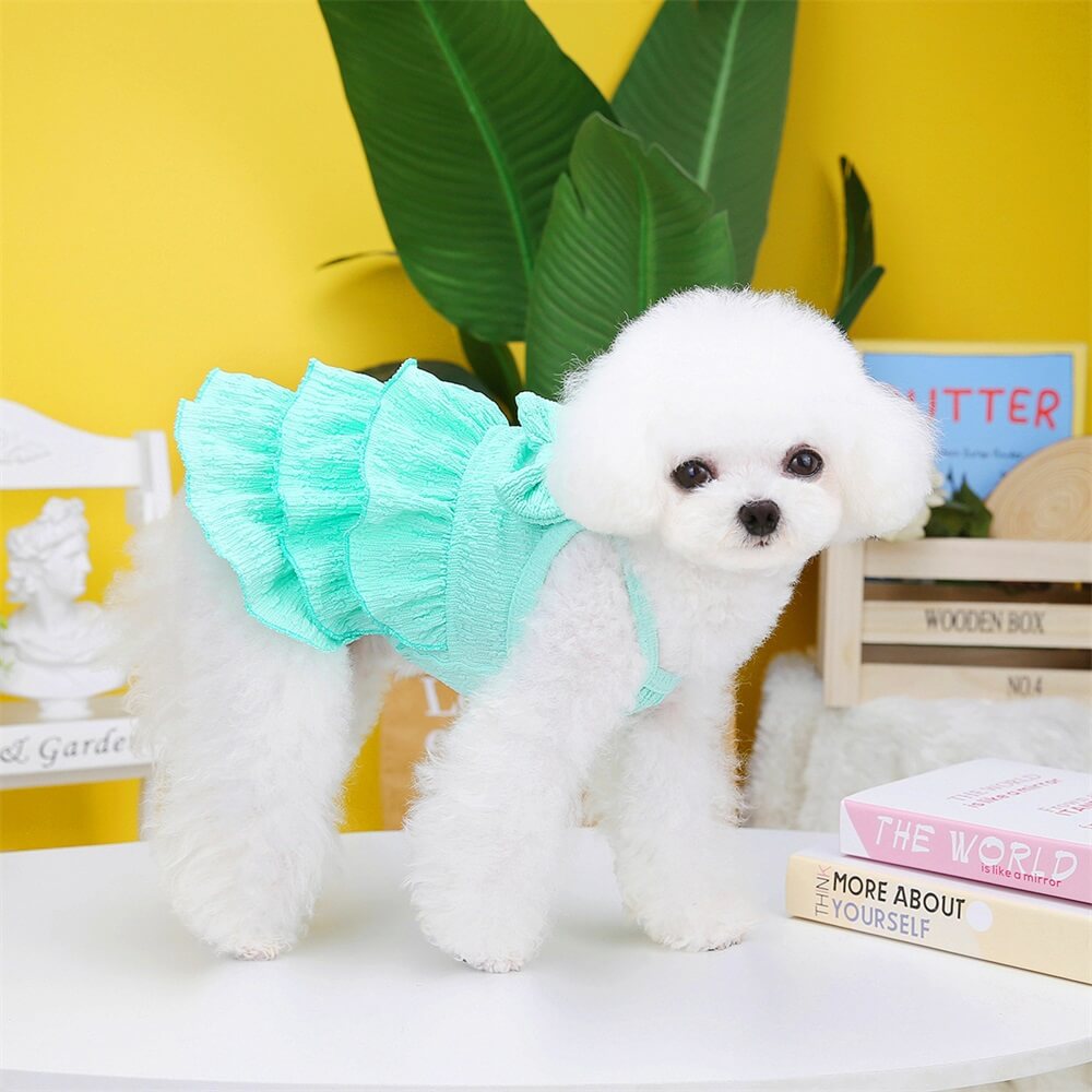 Adorable robe à volants pour chien avec nœud - Parfait pour les sorties estivales