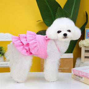 Adorable robe à volants pour chien avec nœud - Parfait pour les sorties estivales