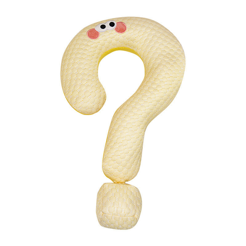 Coussin en soie glacée à refroidissement point d'interrogation