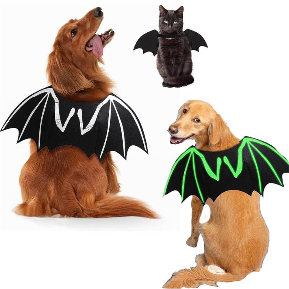 Costume de Chien Halloween Ailes de Chauve-souris Crâne Lumineux | Accessoires de Jeu de Rôle pour Animaux