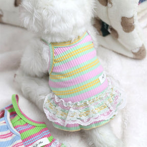 Robe Halter à Lacets Printemps Été Nouveauté Vêtements pour Animaux