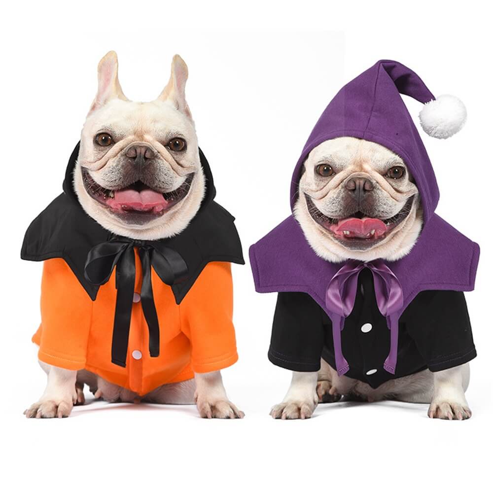 Pull et Écharpe Amusants en Deux Pièces Citrouille d'Halloween pour Chiens