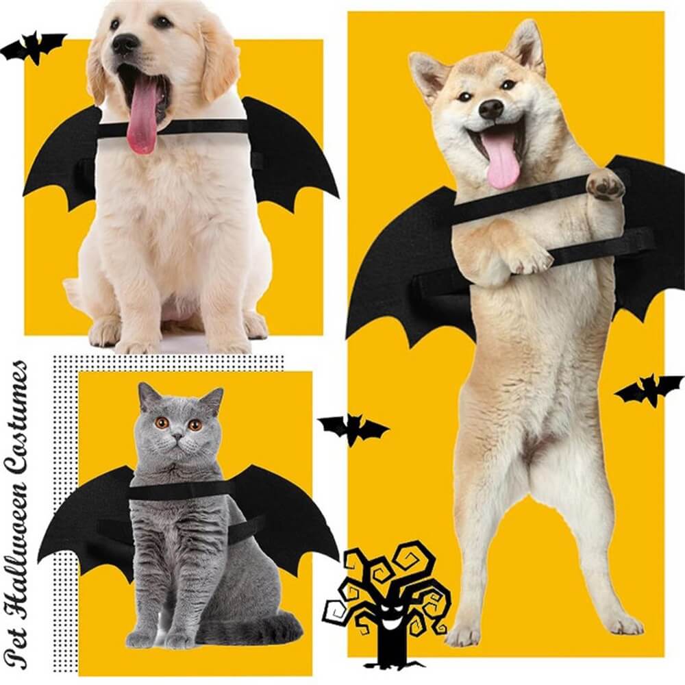 Costume de Chien Halloween Ailes de Chauve-souris Crâne Lumineux | Accessoires de Jeu de Rôle pour Animaux