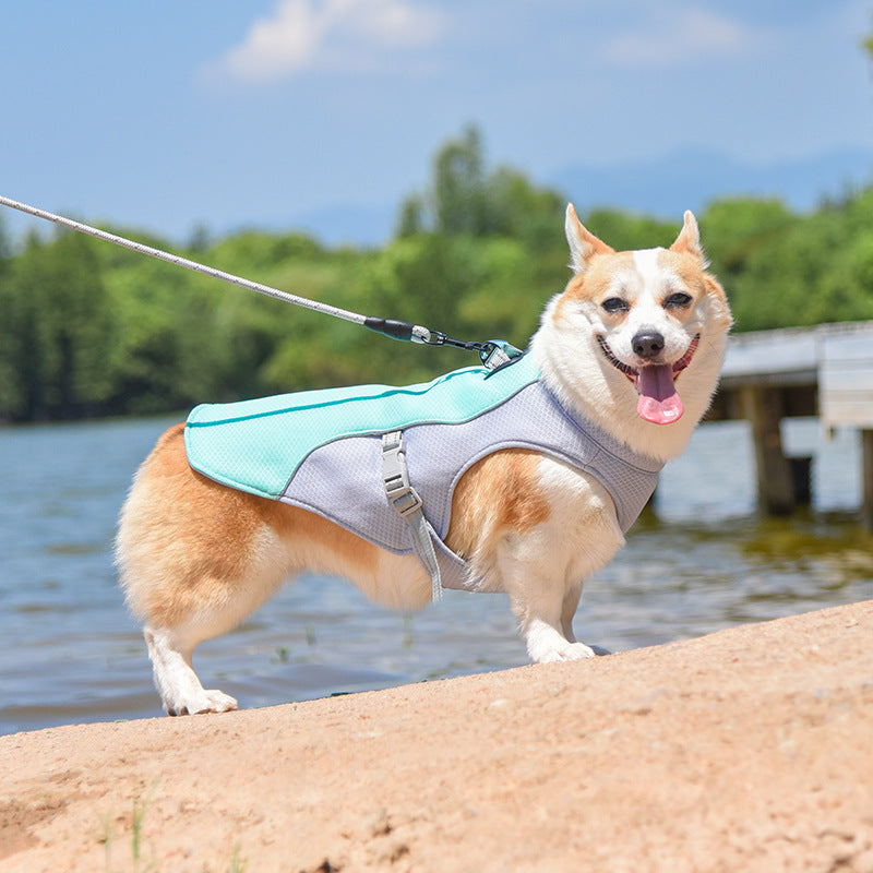 Gilet Respirant Prévention Insolation Gilet Refroidissant Pour Chien Imbibable