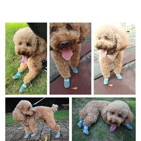 Chaussures de randonnée pour petit chien durables respirantes et antidérapantes pour plein air