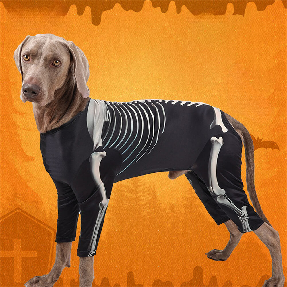 Costume Halloween Élastique Squelette pour Grands Chiens