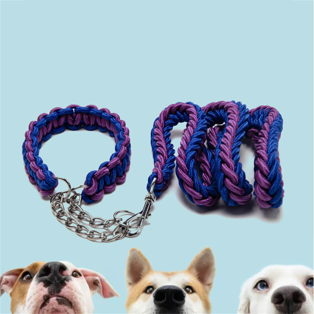 Laisse et collier pour chien en nylon tressé antidéflagrant