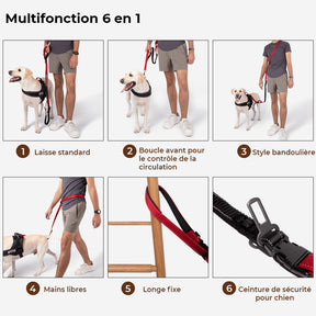 Laisse pour chien mains libres multifonction avec ceinture de sécurité