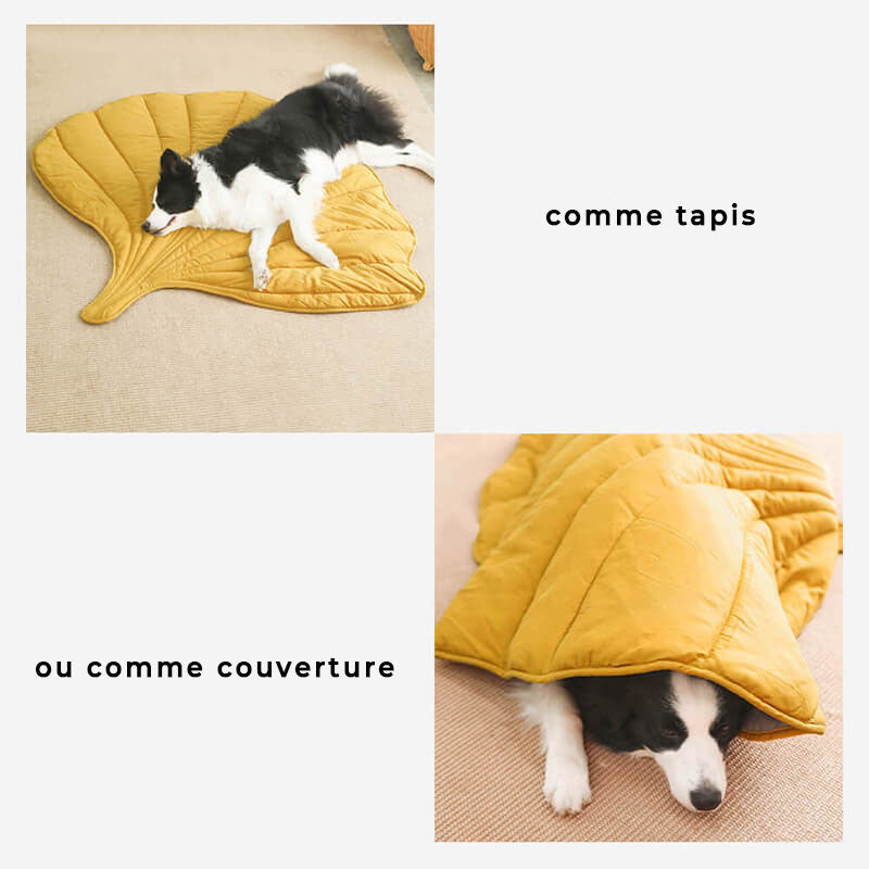 Couverture pour Chien en Forme de Feuille